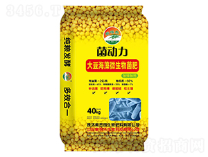 �󶹺���΢�������-����(d��ng)��-���혷(l��)