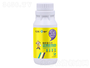 �Ǵ������V�����a(b��)�V��-��СѾ-�_������