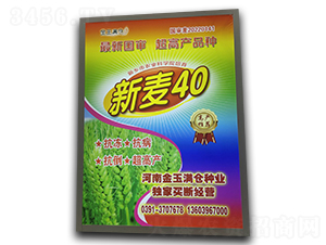 ����40-С���N��-����M�}