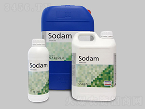 SODAM�������ᣩ �����{(di��o)��-�~��˹��