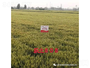 ����808-С���N��-��(r��n)�r(n��ng)�N�I(y��)