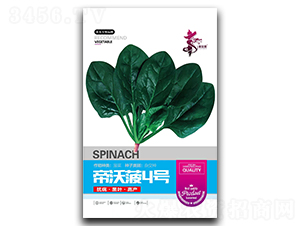 ���ֲ�4̖-���˷N��-�Aһ�N�I(y��)