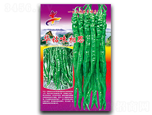 �A�@ζ��˼-�����N��-�Aһ�N�I(y��)