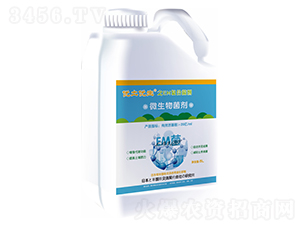 EM��(f��)�Ͼ���-��(y��u)����(y��u)��-���d����