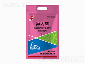 10%������-���A-�t��ˎ�I(y��)