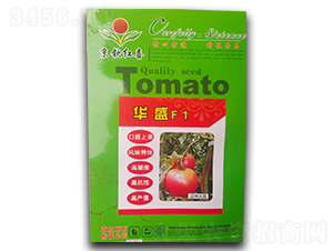 ���t���N��-�AʢF1-���J�tϲ