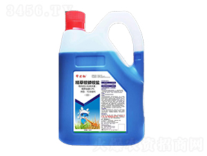 10%�����@��@�}-�;��z-��Խ����