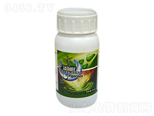 �˄ӷ�����-�꾧��