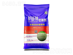 �o(h��)������턩-�Pʩ������