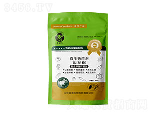 500g΢�������-��̩��-��̩����