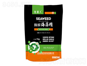 ø�⺣�徫-��̩����