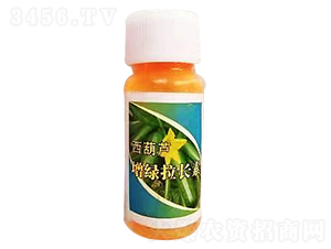 �����J���G���L��-�h�滯��