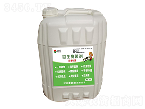 ΢�������-���(zhu��n)��-��΢��