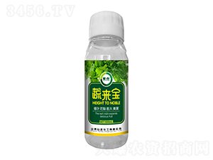 �߁팚-ِ��-�_�_�ʘI(y��)