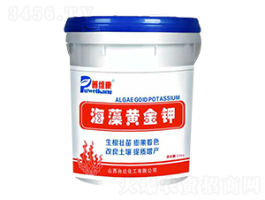 �����S���-�վS��-�_�_�ʘI(y��)