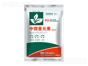 ���ϑB(t��i)��΢��Ԫ��-�_(t��i)�_(d��)�ʘI(y��)