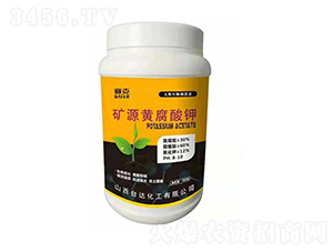 �VԴ�S�����-ِ��-�_�_(d��)�ʘI(y��)