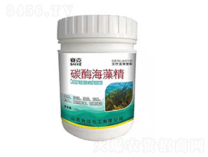 ̼ø���徫-ِ��-�_�_�ʘI(y��)