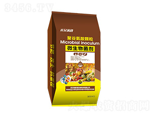 �۹Ȱ����w��΢�������-�̹��M��-���}ͨ����