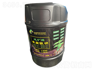 ���VԴ�S����⛣�Ͱ��-��������