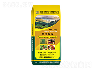 ��ֲ���@-���d�Ƽ�