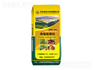 ��ֲ���w��-���d�Ƽ�