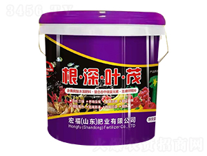 �����~ï-�긣