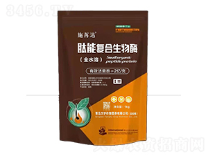 ʩ���_(d��)���܏�(f��)������ø-���o(h��)