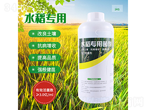 ˮ�����þ���-����