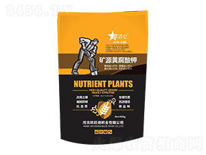 �VԴ�S�����-���~��-����·ʘI(y��)