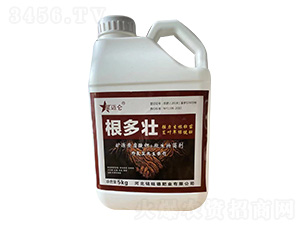 ������-���~��-����·ʘI(y��)