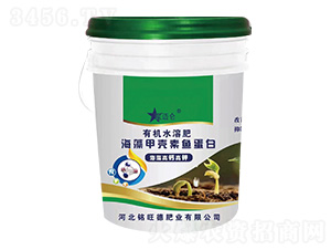 ����ך����~(y��)����-���~��-����·ʘI(y��)