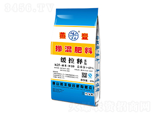 ����ጓ������25-8-10-���S