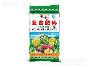 ��(f��)�Ϸ���22-0-8�����׷�ʣ�-���S