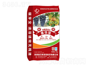 ��ѿ���\���p����-��ʯ�R