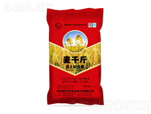 ��ǧ��y���䷽��16-10-4-��ʯ�R