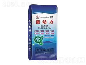 ����(d��ng)��΢�������-��ʯ�R