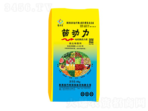 ����(d��ng)�����ø������-��ʯ�R