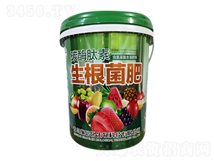 ̼ø������������-�������