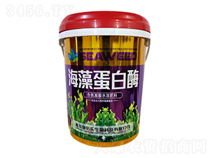 ���嵰��ø-�������