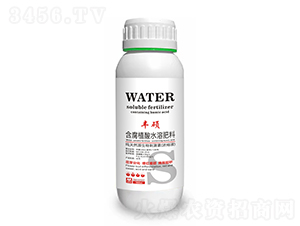 ����ֲ��ˮ�ܷ���-�S�T-¡���r(n��ng)�I(y��)