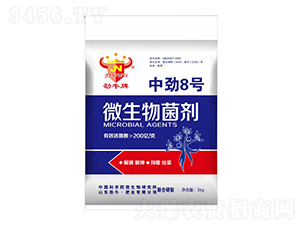 �Є�8̖(h��o)΢�������-��ţ