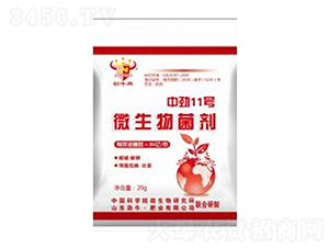 �Є�11̖΢�������-��ţ