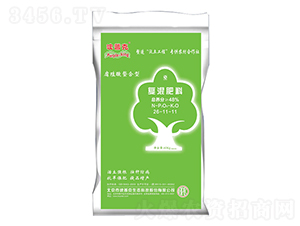 �ߵ����Ϗ�(f��)�����26-11-11-���տ�