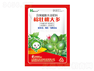 �މ��Ҵ��-�݃|�r(n��ng)