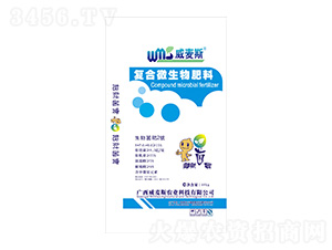 ��(f��)��΢�������-����˹