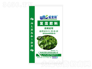 ɣ���m�Ï�(f��)�����22-8-10-����˹