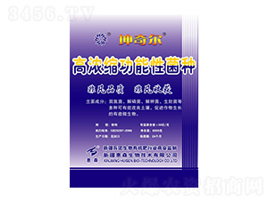 �ߝ�s�����Ծ��N-���栖-��ɭ����