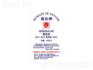 �Ȼ���w��-����S