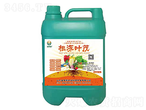 �����~ï-������